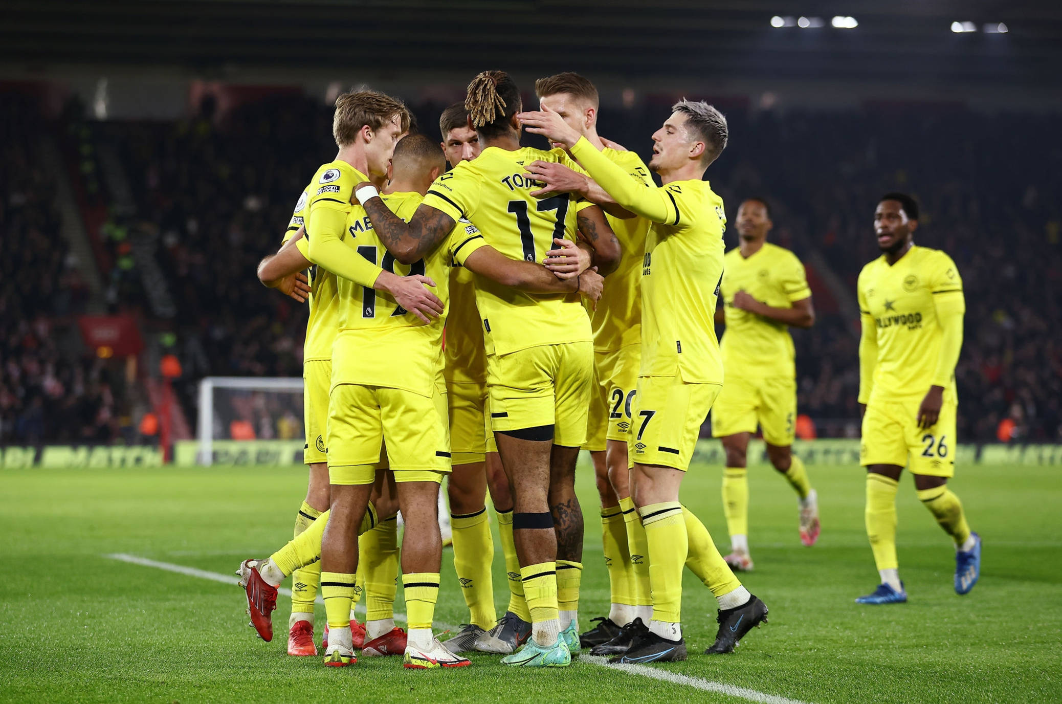 自的表现书 自的表现书