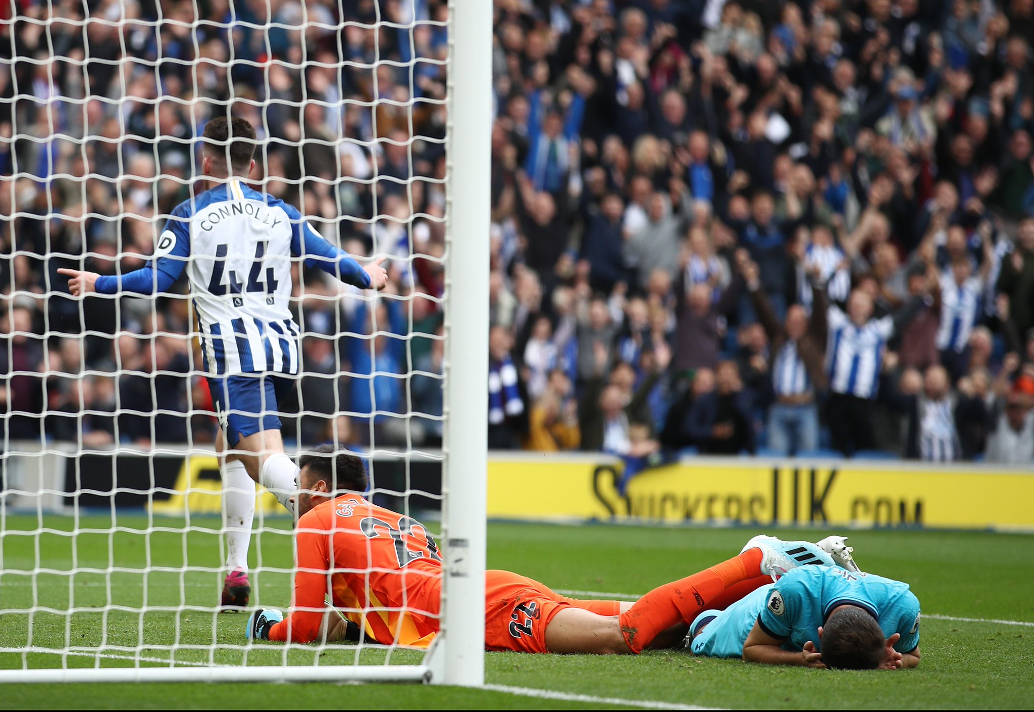 了广大球迷 了广大球迷